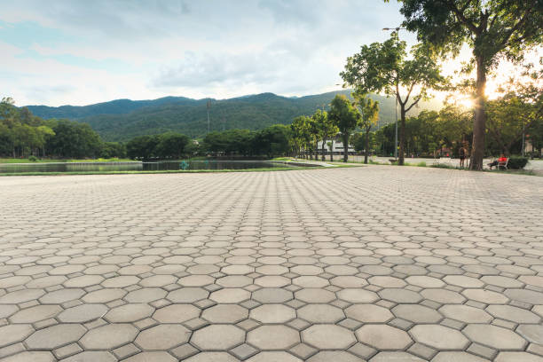 Best Driveway Pavers Near Me  in Bayou Country Clu, LA
